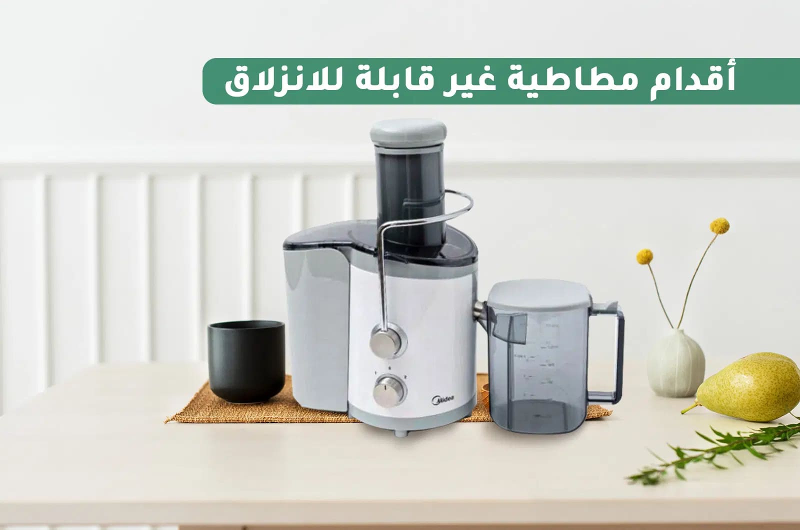 عصارة عصير، قوة 450 واط، سرعتان، 60 هرتز 2 MJ45JM01Aar 2